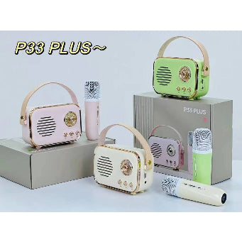 Haut-parleur 2 micros P33 plus