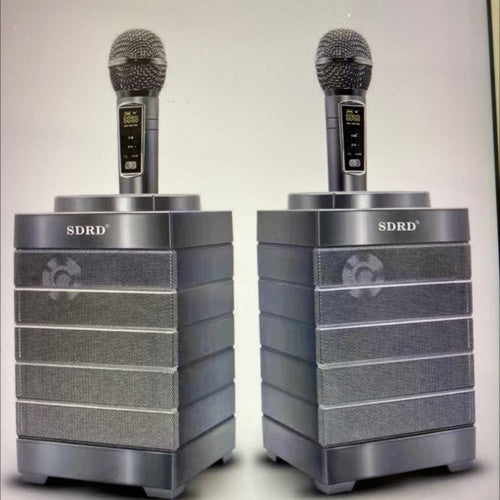 Haut parleurs Karaoke SD 128 SDRD