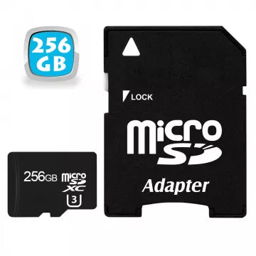 Micro SD 256Go
