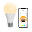 Ampoule smart bulb a60